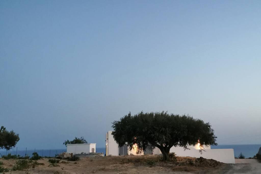 Casa Palombara - Healiday In Torre Salsa מונטאלגרו מראה חיצוני תמונה